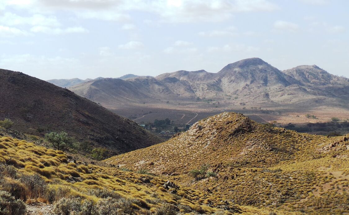 Teetulpa Overlooking Homestead And Teddy Wapper