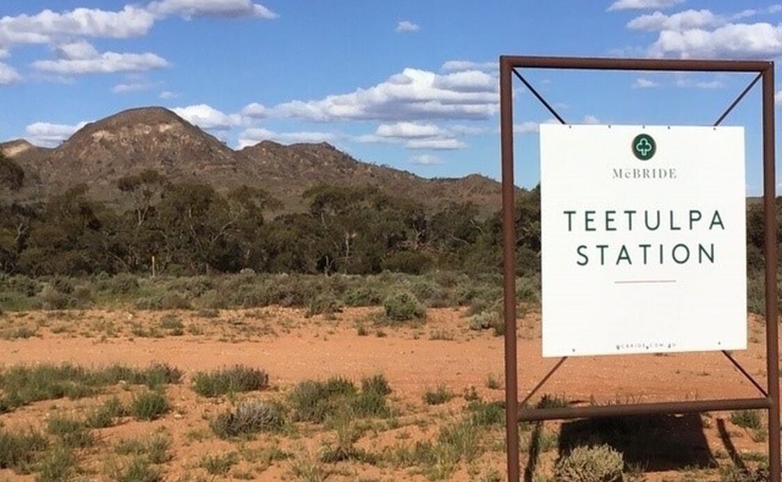 Tee sign